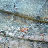 Boats by bulloch.photography