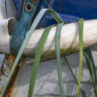 Boats by bulloch.photgraphy