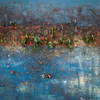 boats by bulloch.photography