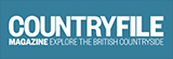 Article icon 4